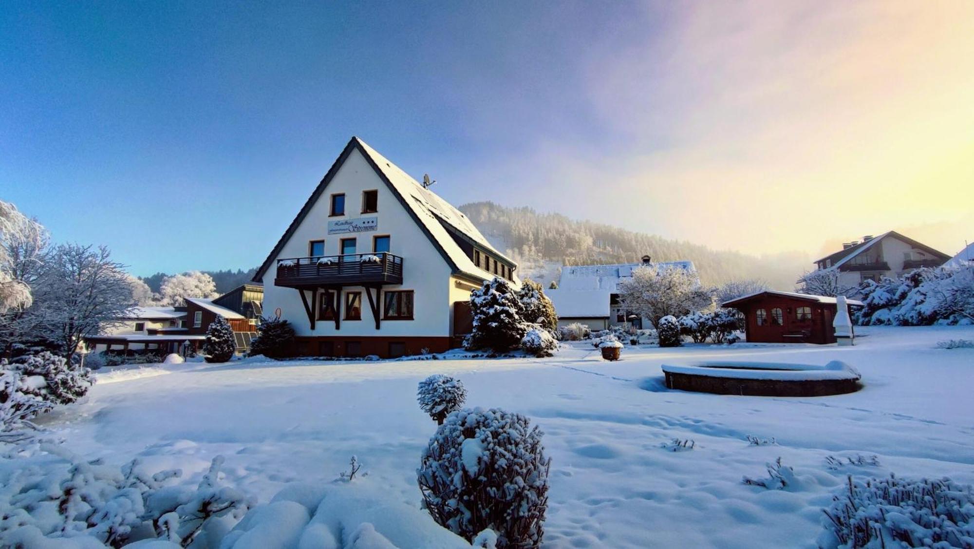 Landhaus Stremme Willingen  Εξωτερικό φωτογραφία