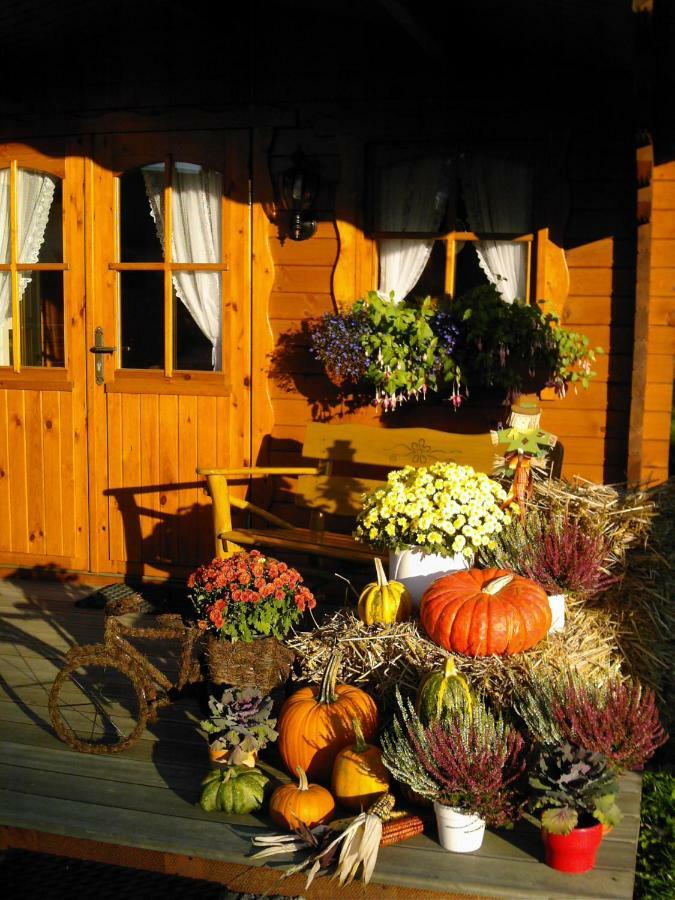 Landhaus Stremme Willingen  Εξωτερικό φωτογραφία